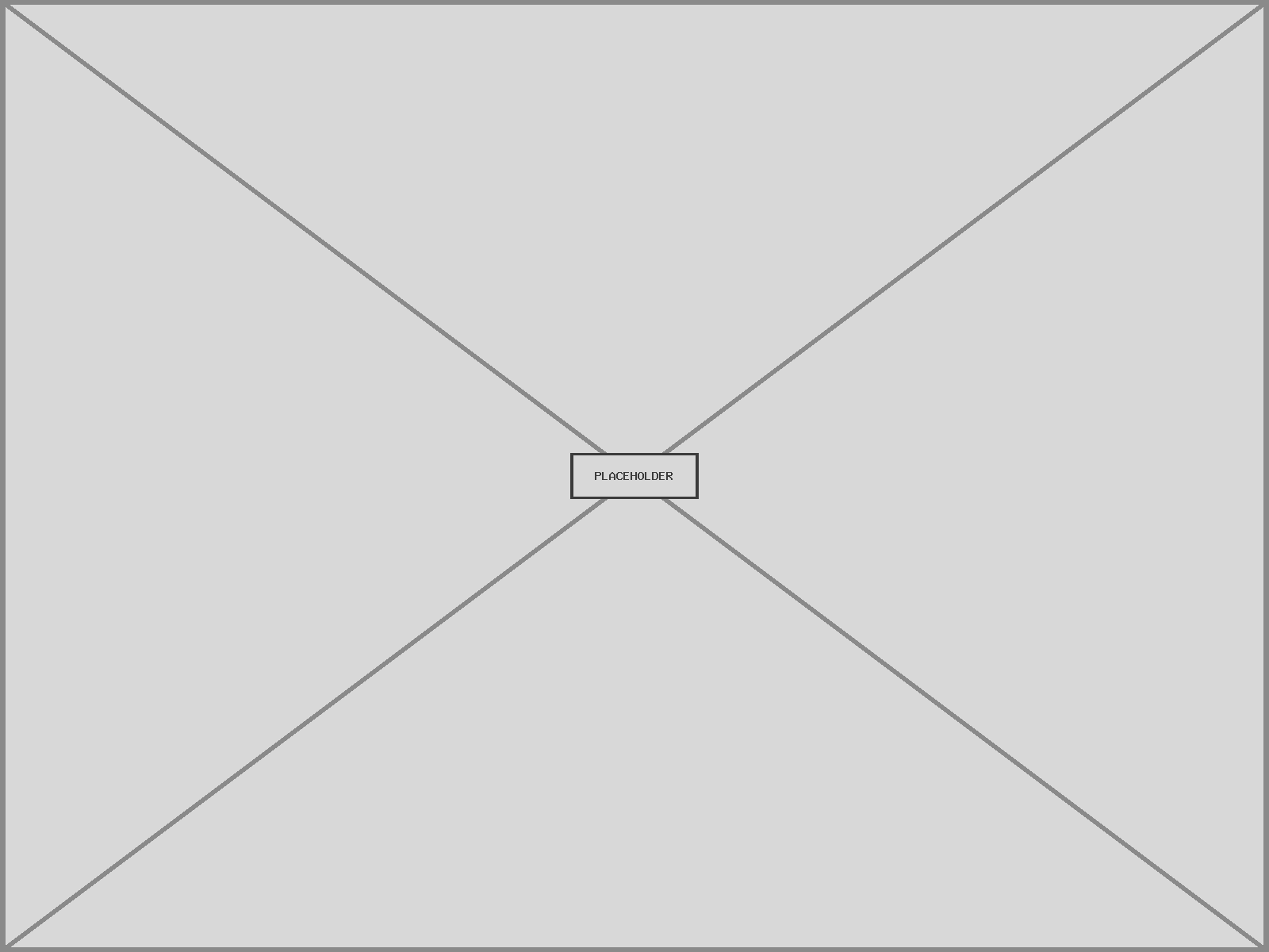LI placeholder